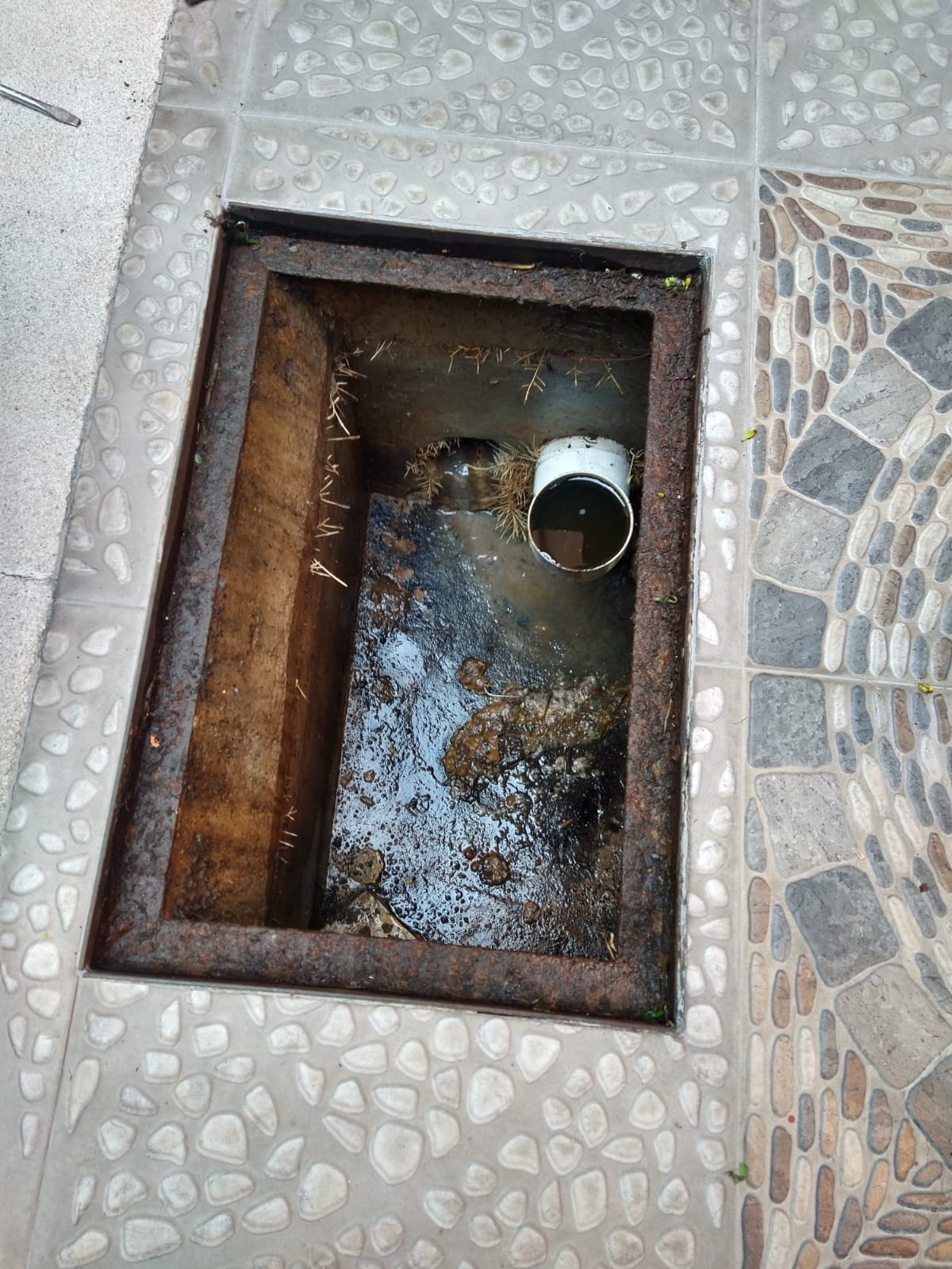 Servicio de Desazolves de Drenajes en la Colonia San Bartolo Atepehuacan, Gustavo A Madero